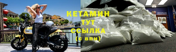 прущие грибы Нефтекумск